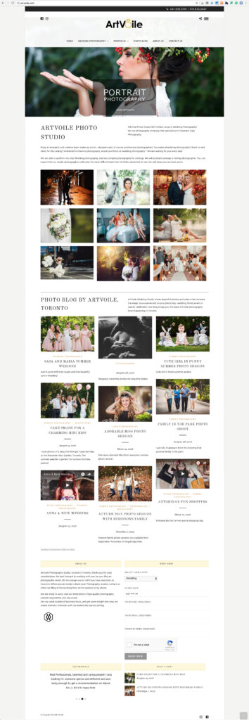 artvoile website full size