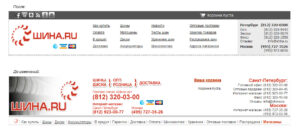 Services shapka shina